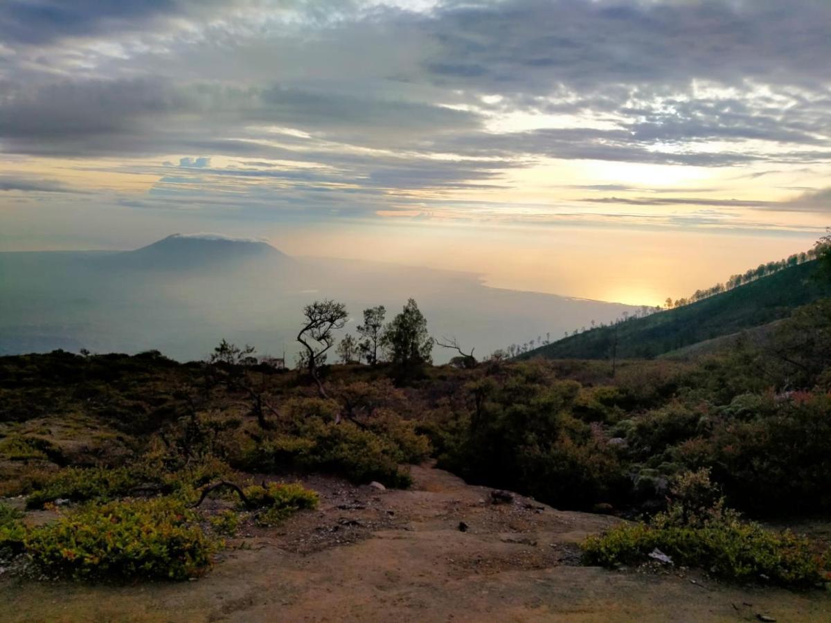 Javalindra Homestay Tour And Travel Banyuwangi  Esterno foto