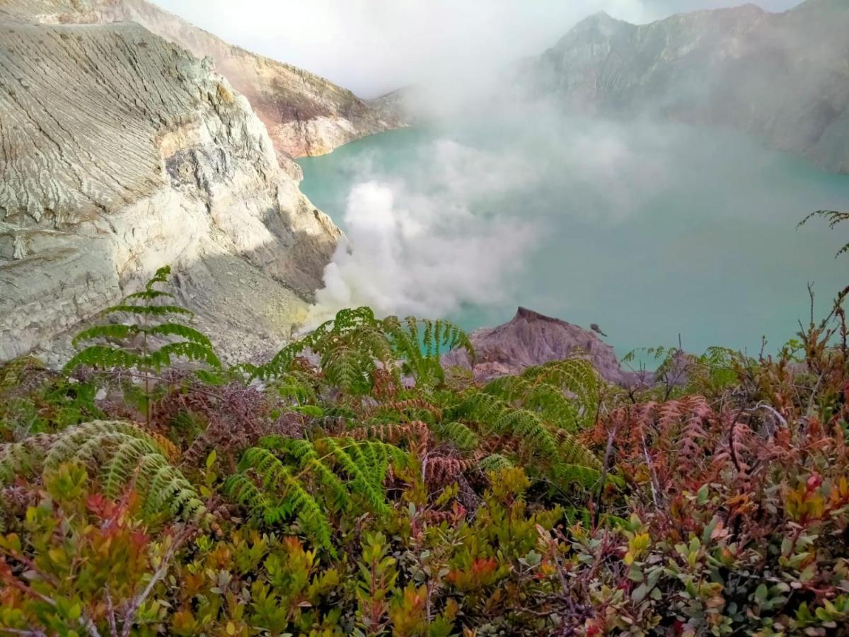 Javalindra Homestay Tour And Travel Banyuwangi  Esterno foto