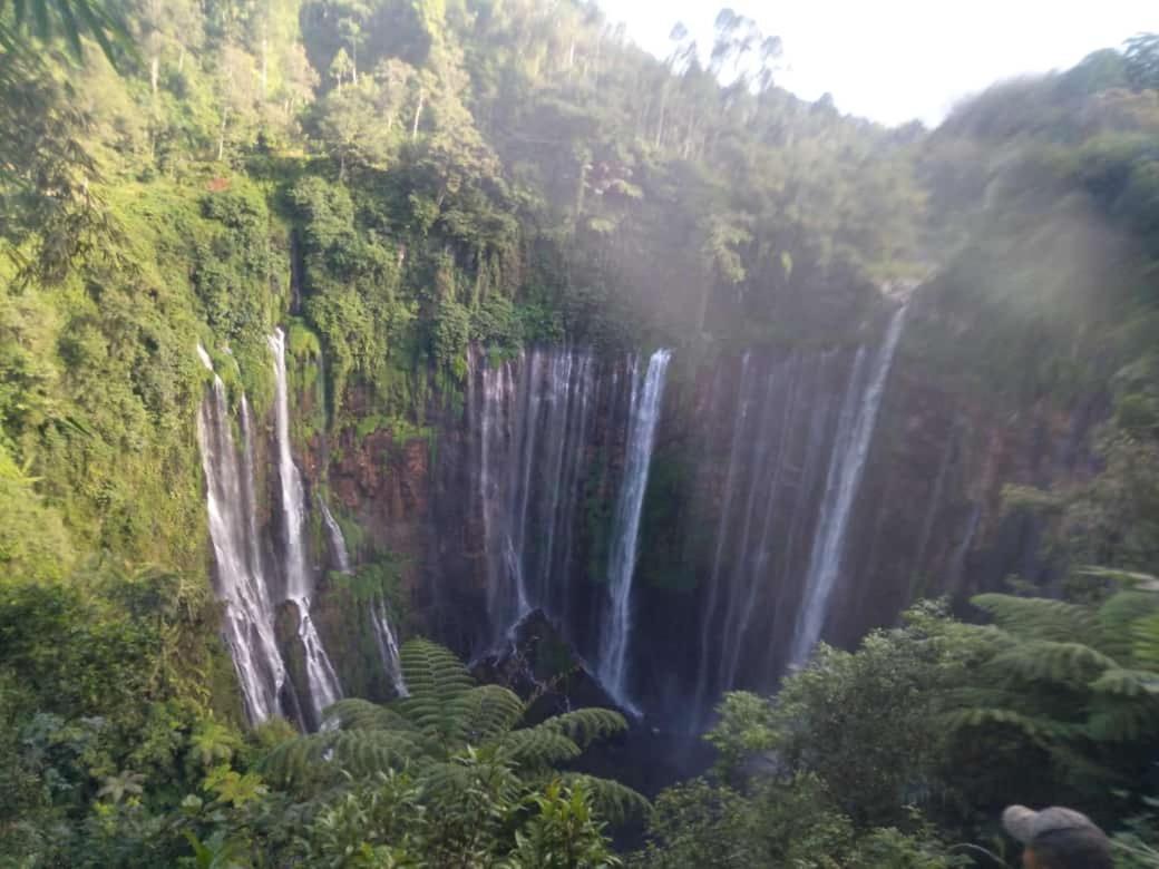 Javalindra Homestay Tour And Travel Banyuwangi  Esterno foto