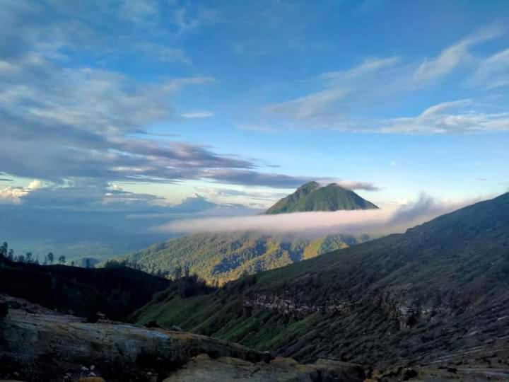 Javalindra Homestay Tour And Travel Banyuwangi  Esterno foto
