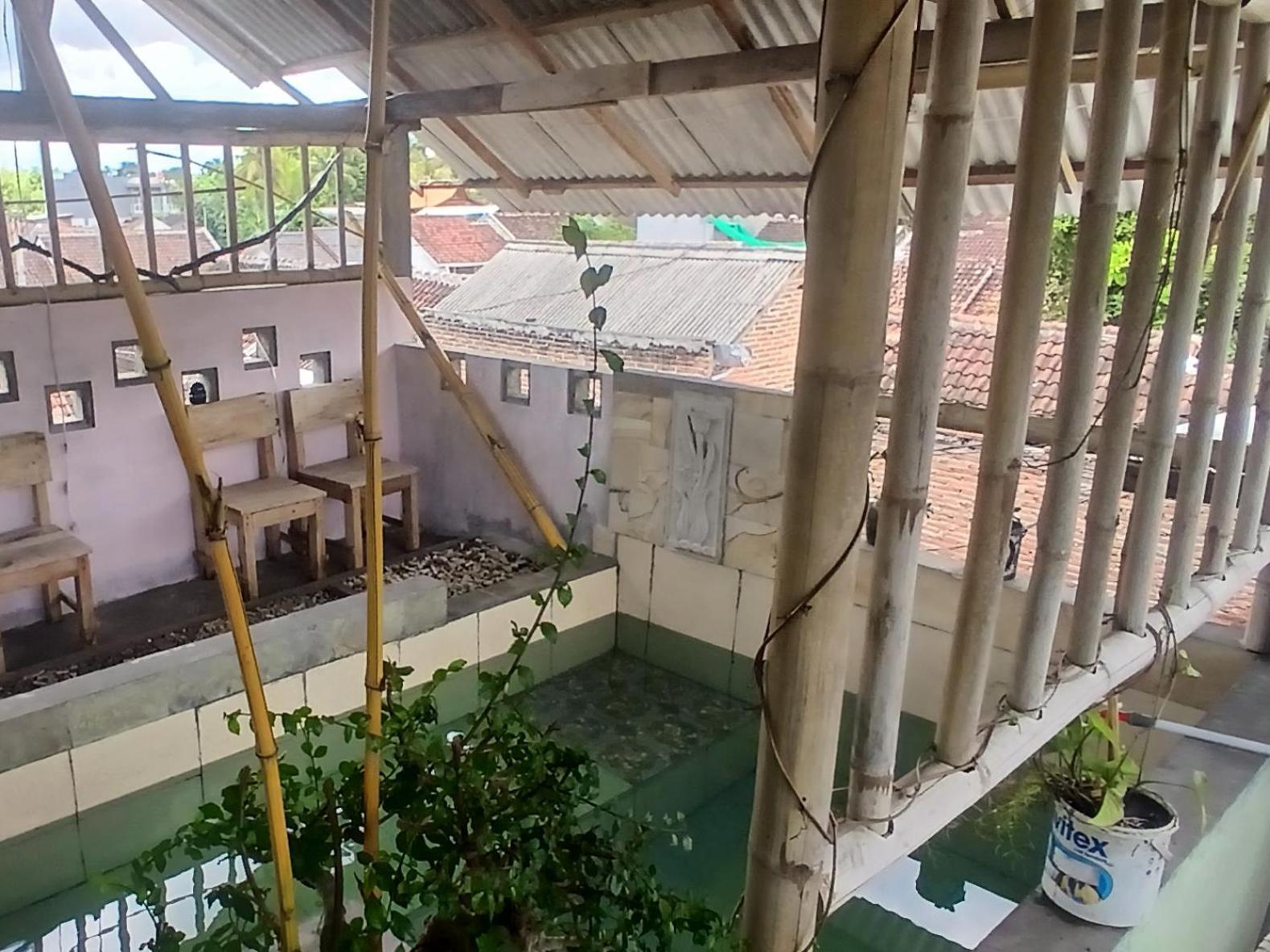 Javalindra Homestay Tour And Travel Banyuwangi  Esterno foto